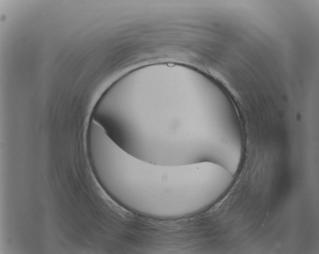 X0000070381516200606231659