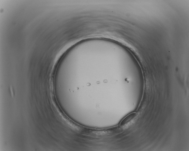 X0000070381517200606231659