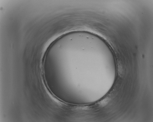 X0000070381519200606231659