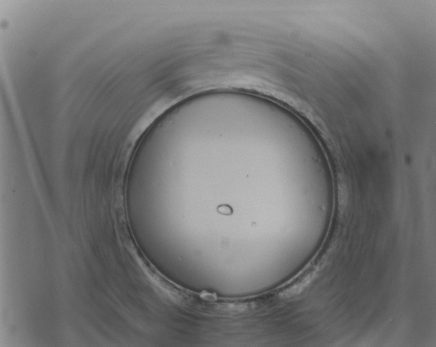 X0000070381521200606231659