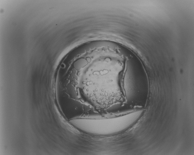 X0000070381522200606231659