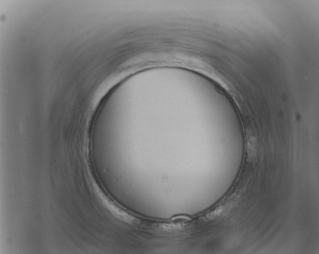 X0000070381523200606231659