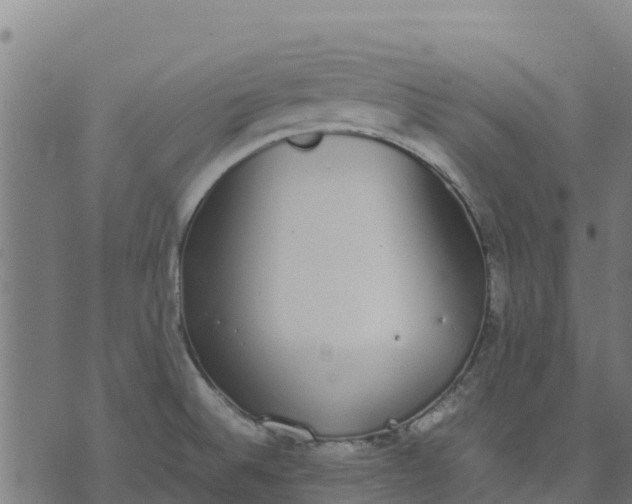 X0000070381524200606231659