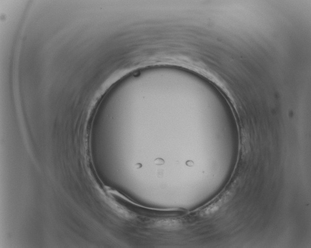 X0000070381525200606231659