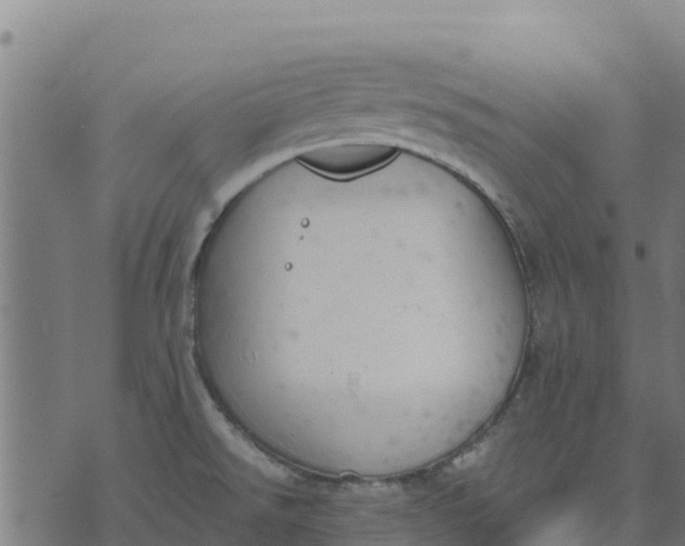 X0000070381526200606231659