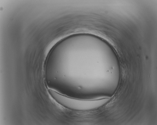 X0000070381527200606231659