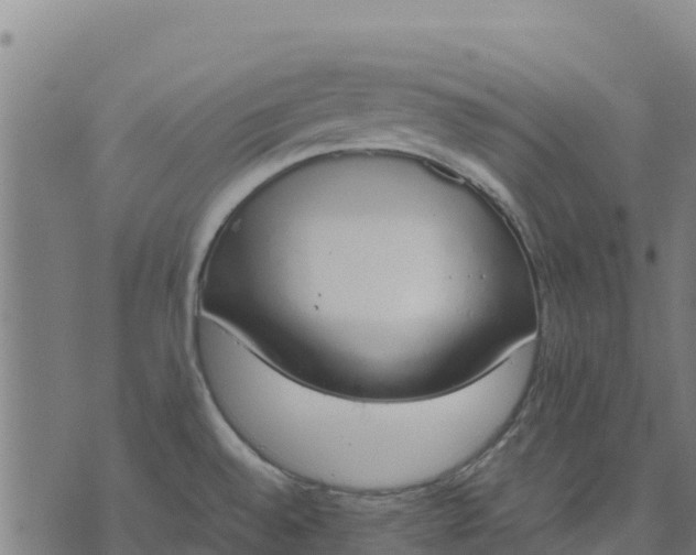 X0000070381528200606231659