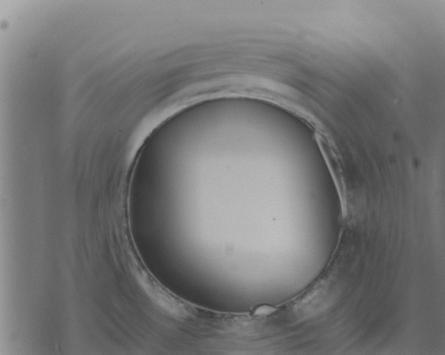 X0000070381530200606231659