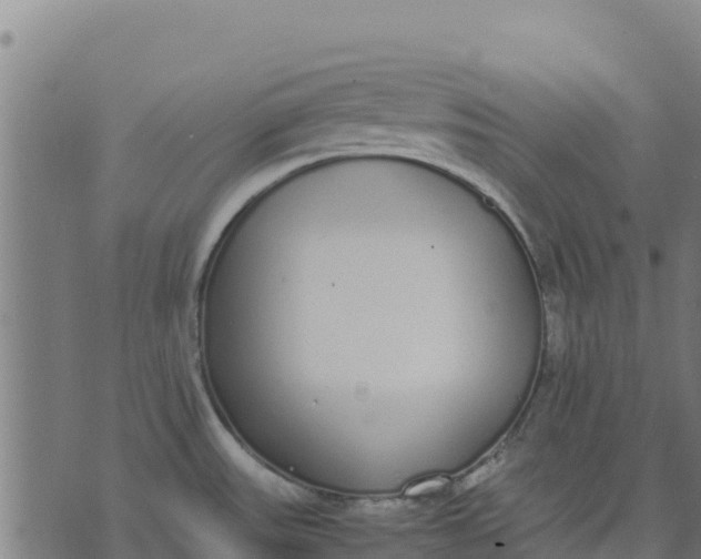 X0000070381531200606231700