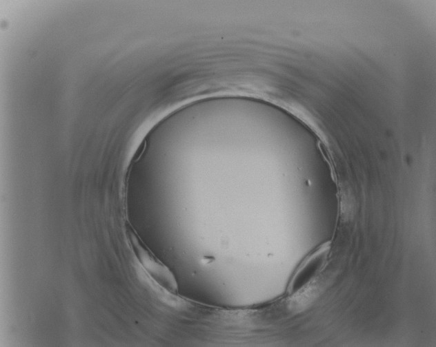 X0000070381532200606231700