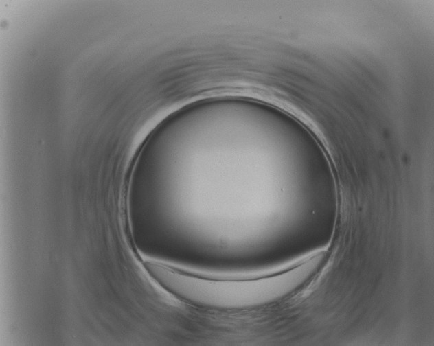 X0000070381533200606231700