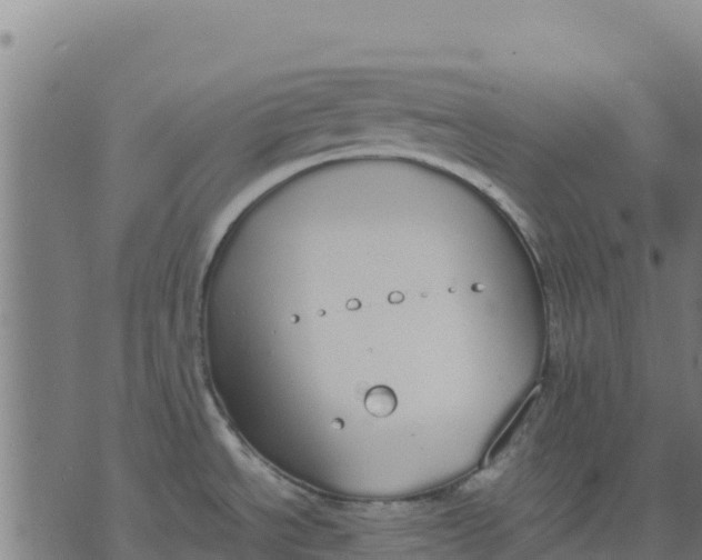 X0000070381534200606231700