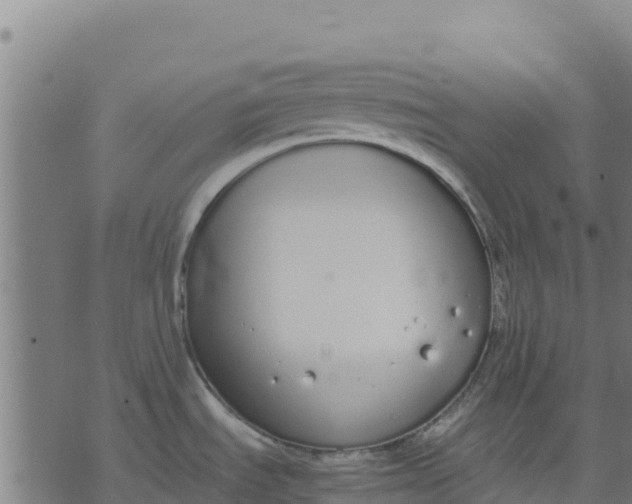 X0000070381535200606231700