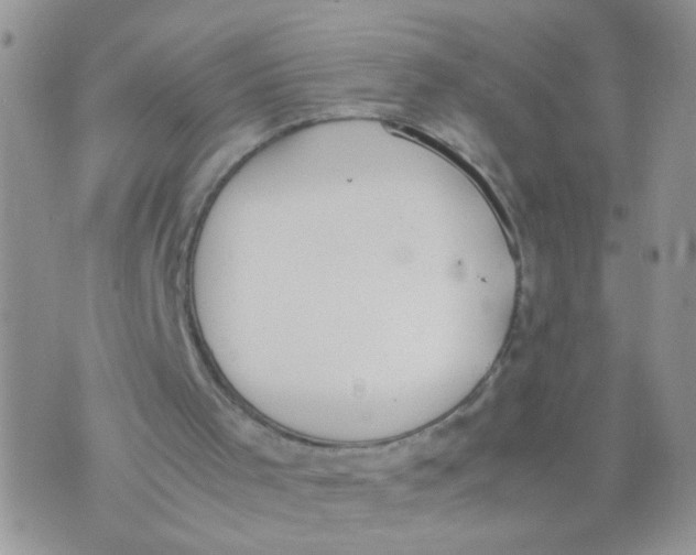 X0000070380001200606301933