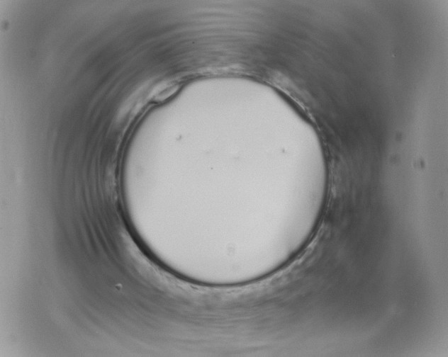 X0000070380002200606301933