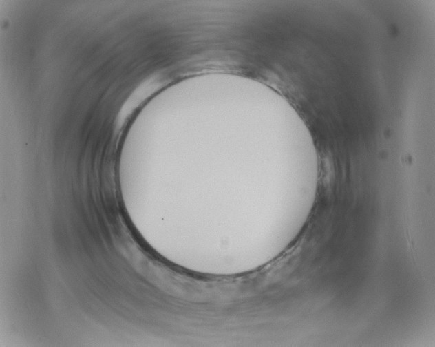 X0000070380004200606301933