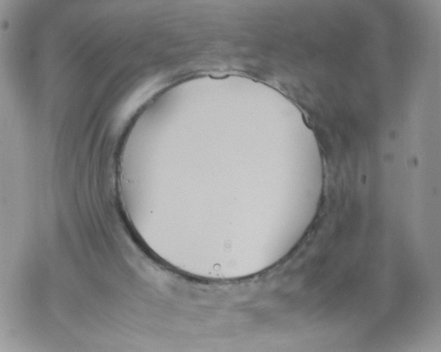 X0000070380005200606301933