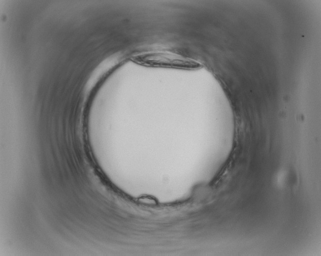 X0000070380006200606301933