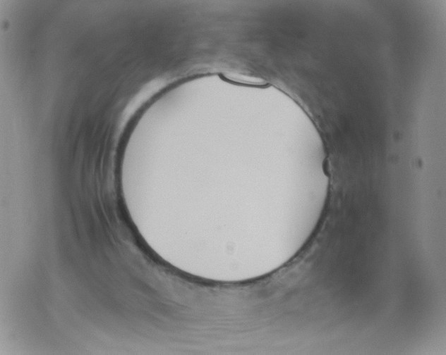 X0000070380008200606301933