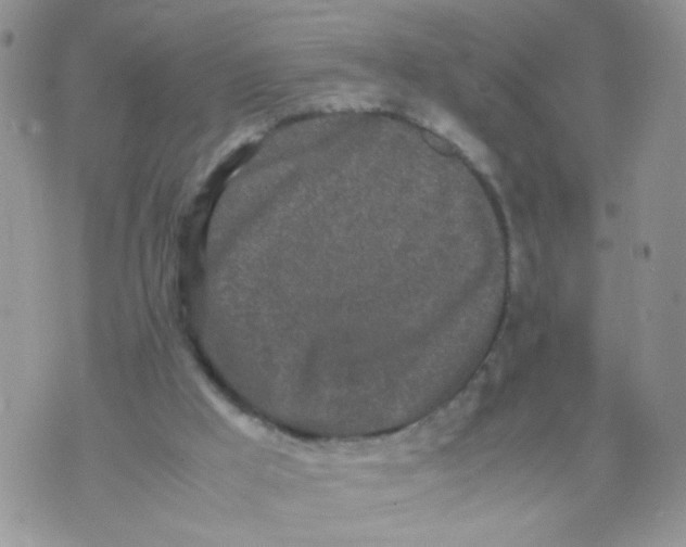 X0000070380009200606301933