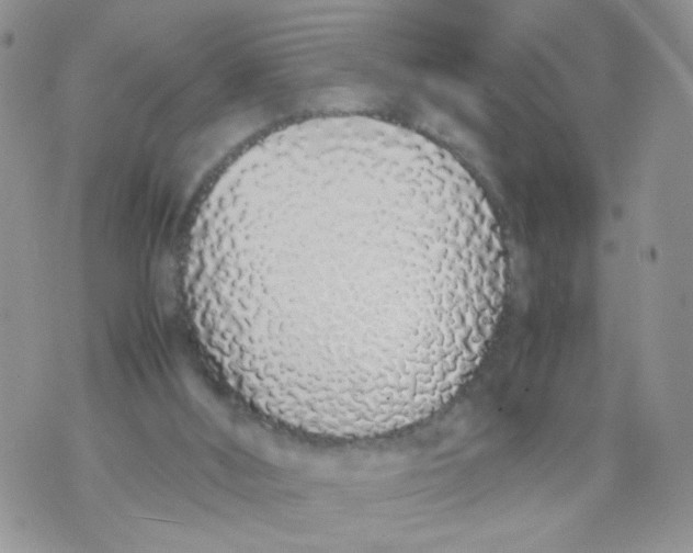 X0000070380012200606301933