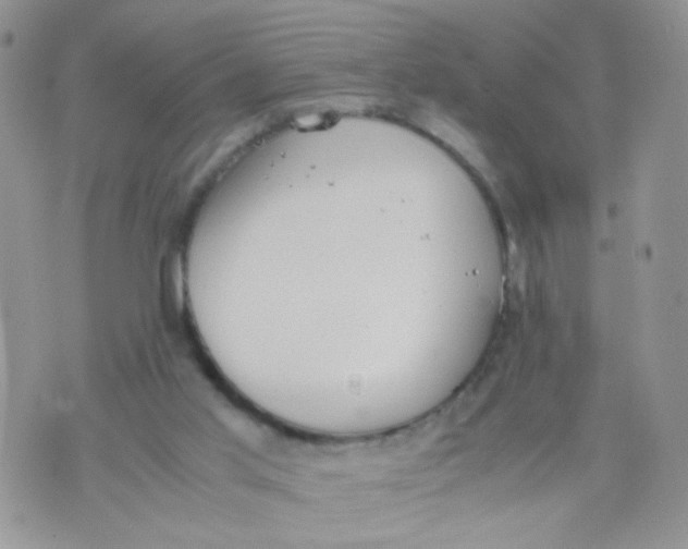 X0000070380013200606301933