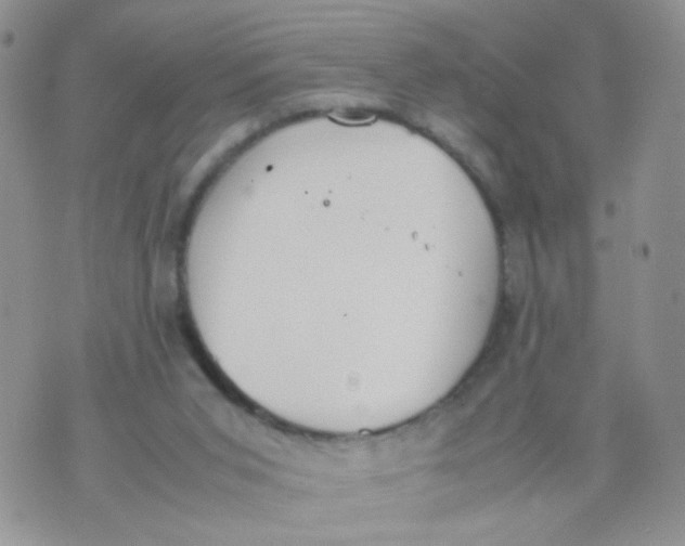 X0000070380015200606301933