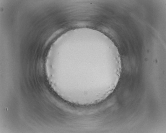 X0000070380016200606301933