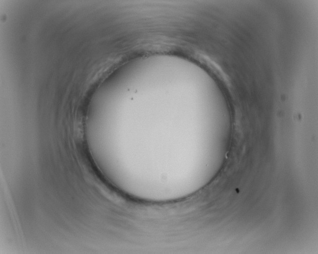 X0000070380017200606301933