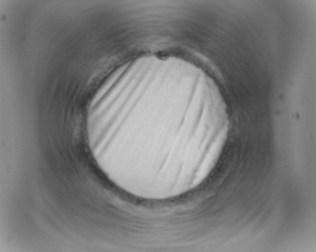 X0000070380018200606301933