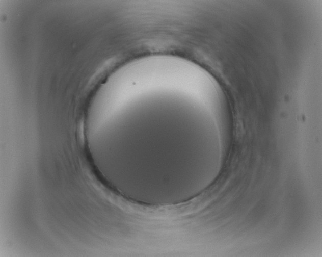 X0000070380019200606301933