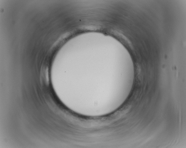 X0000070380020200606301933