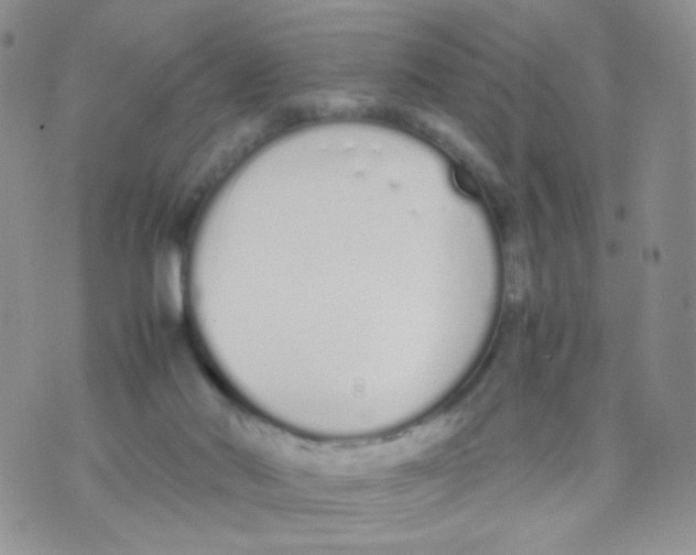 X0000070380022200606301933