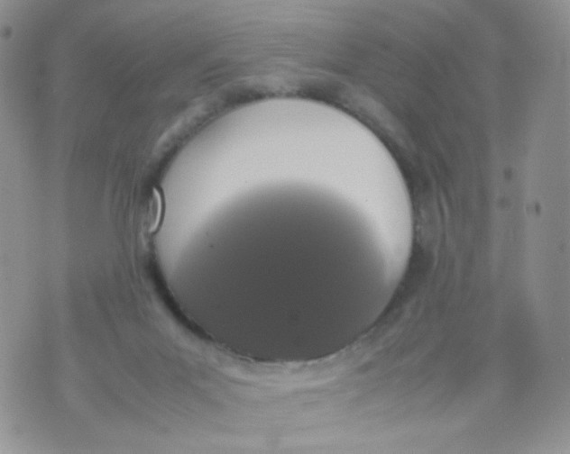 X0000070380023200606301932