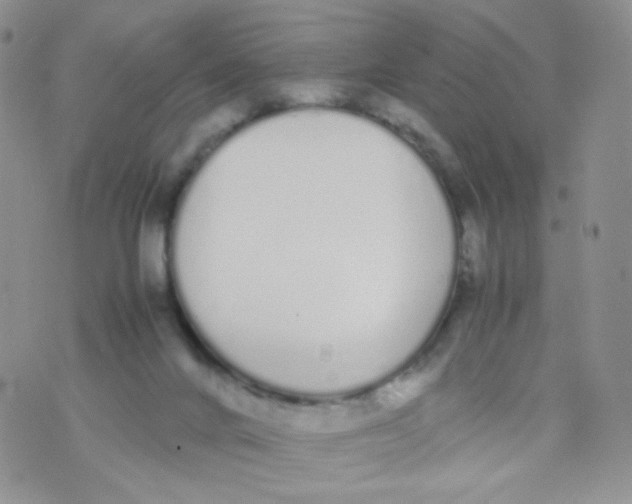 X0000070380024200606301932