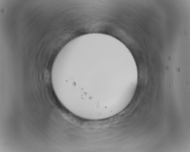 X0000070380025200606301932