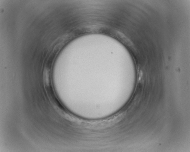 X0000070380026200606301932