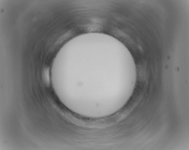 X0000070380028200606301932