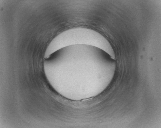 X0000070380030200606301932