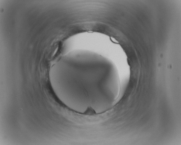 X0000070380031200606301932