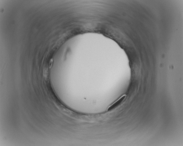 X0000070380033200606301932