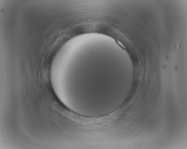 X0000070380035200606301932