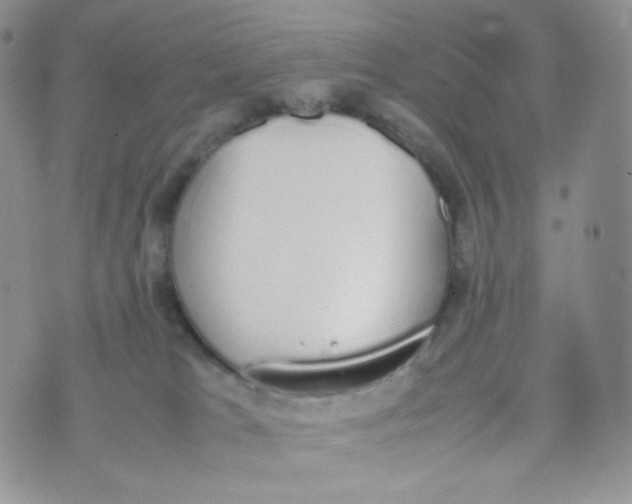 X0000070380037200606301932