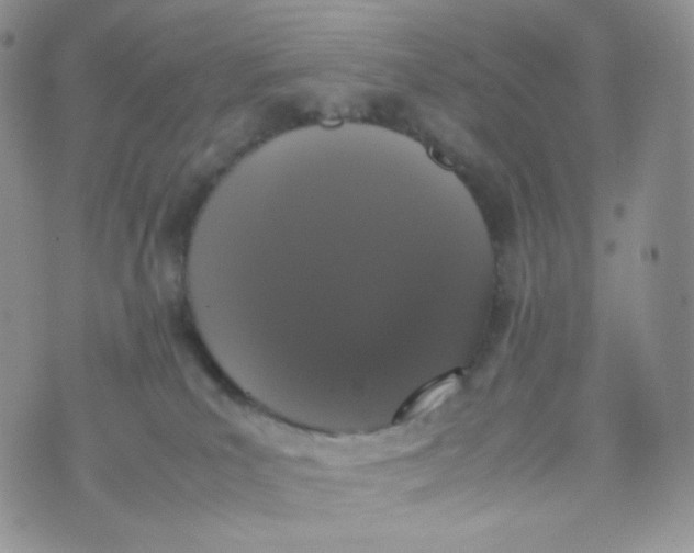 X0000070380039200606301932