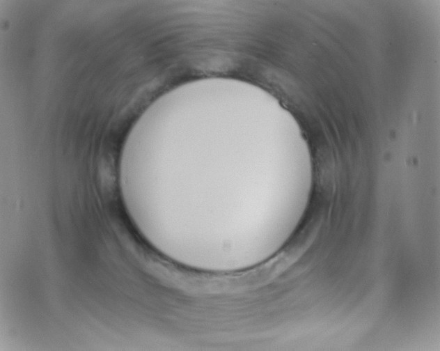 X0000070380040200606301932