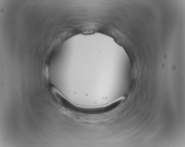 X0000070380041200606301932