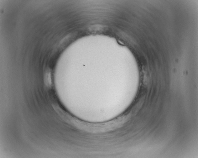 X0000070380042200606301932