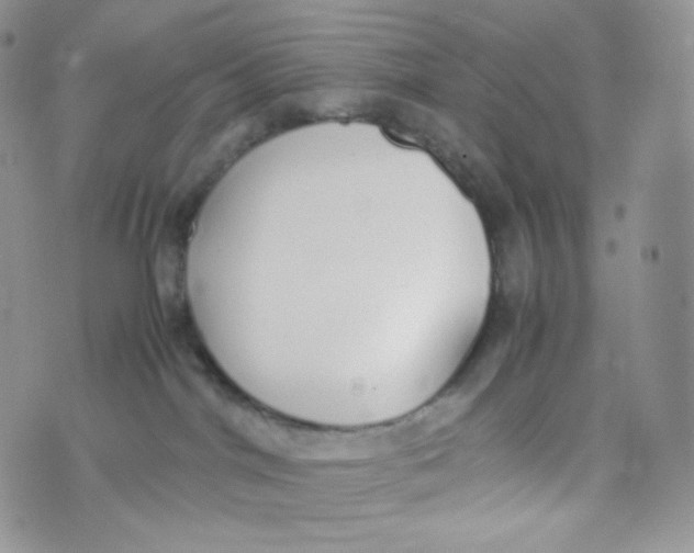 X0000070380044200606301932