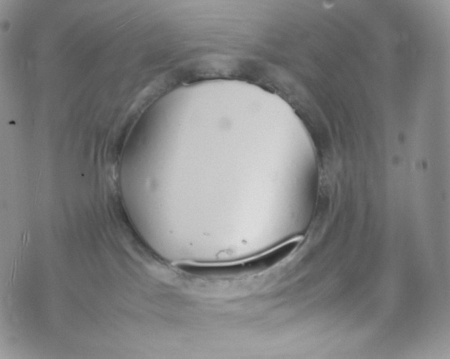 X0000070380045200606301932