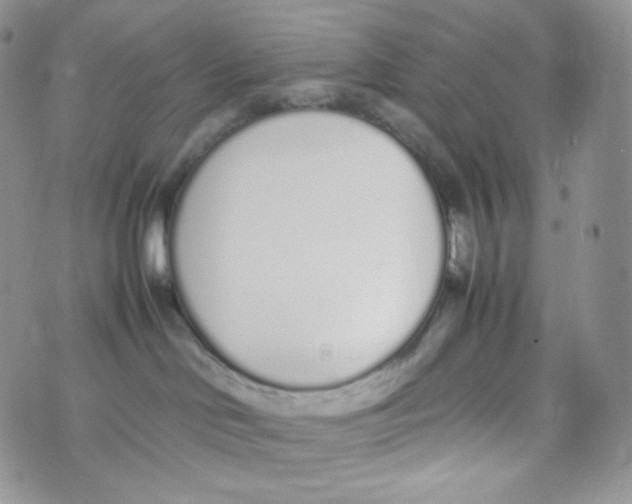 X0000070380046200606301932